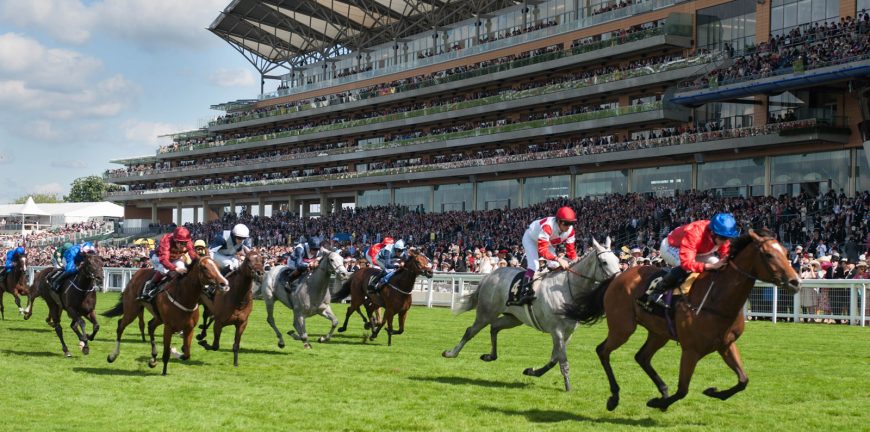Royal Ascot 2021 Packages